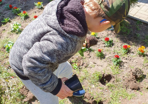Chłopiec sadzi kwiatki w ogrodzie przedszkolnym